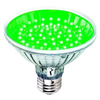 Picture of Crompton LED PAR30 Green 2.5W LEDPAR3048G